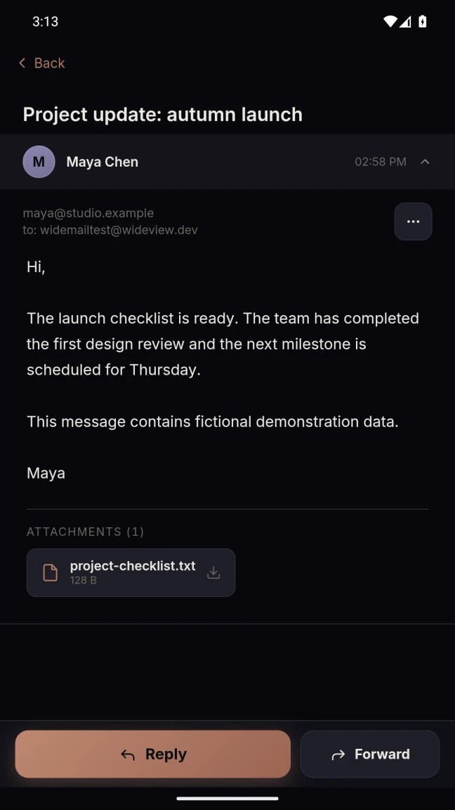 An open email and attachment in WideMail, showing fictional demo content